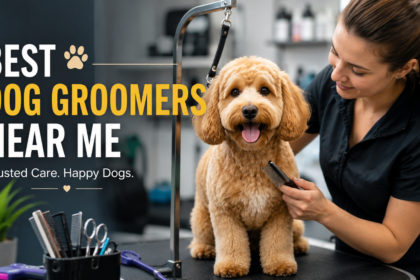best dog groomers near me