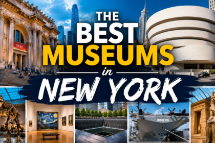 best museums in new york​