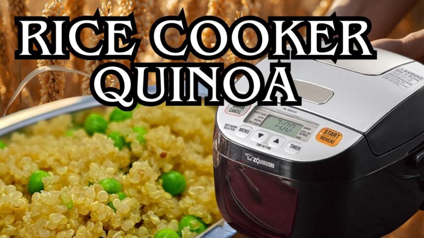 how to cook quinoa in rice cooker