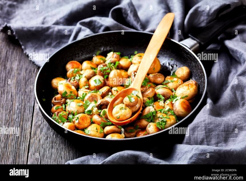 best al ajillo mushrooms near me