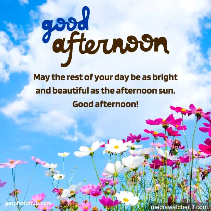 good afternoon wishes good afternoon wishes