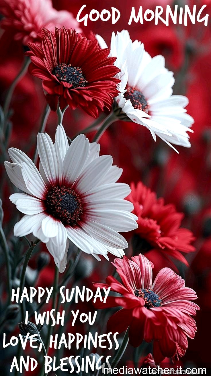 good morning happy sunday