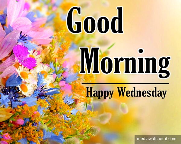good morning happy wednesday