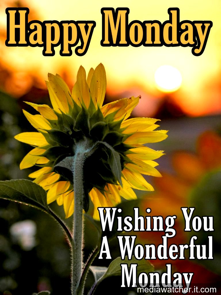 happy monday images happy monday images