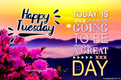 happy tuesday