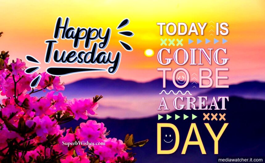 happy tuesday